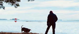 Lek med husse ute på Gläntan  