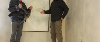 Tegel, konst och fri enré