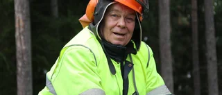 Slitstark häst gör jobbet i skogen