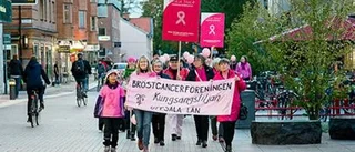 Rosa oktobermanifestation