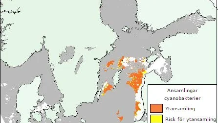 SMHI. Så här ser algprognosen ut i landet just nu.