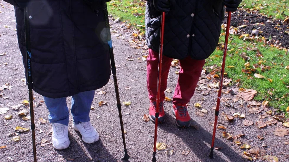 Guldkant. Promenader ihop med andra ger både motion och social samvaro.