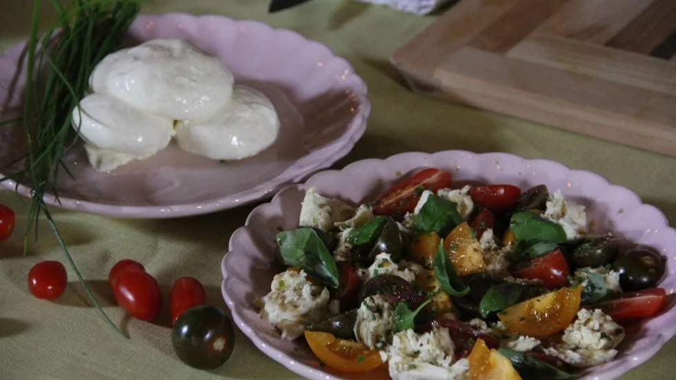 sallad med mozzarella