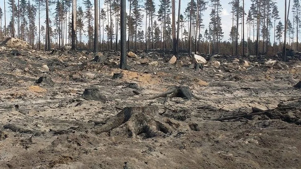 Som ett månlandskap. så beskriver räddningstjänsten brandområdet. Nu är notan klar för Västmanlands del.