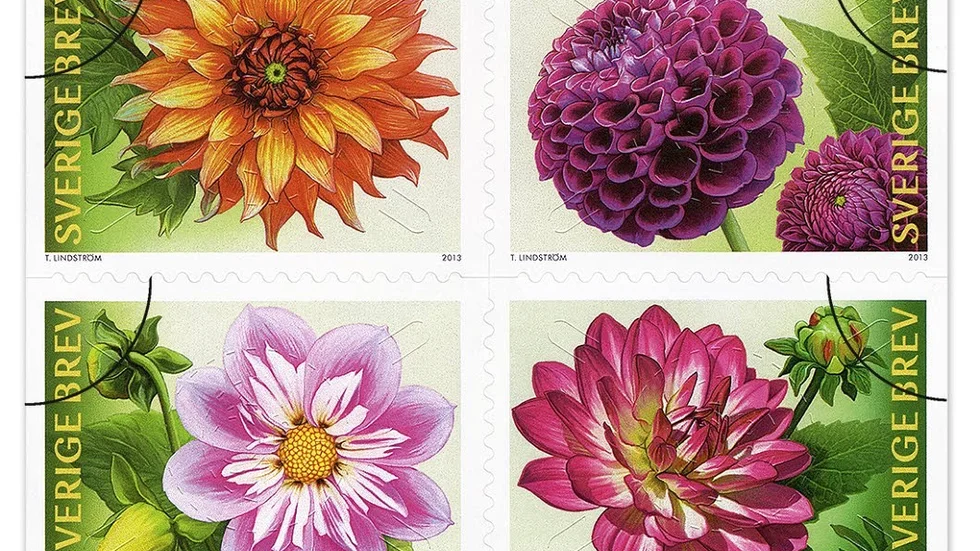 Fyra. Följande dahlior finns representerade på frimärkena: dekorativdahlia, bolldahlia, näckrosblommande dahlia och halskråsdahlia.