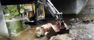 Asplekplats återställs