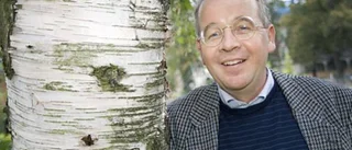 Vill ha in en engelsk klackspark