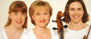 Mycket samspelt trio
