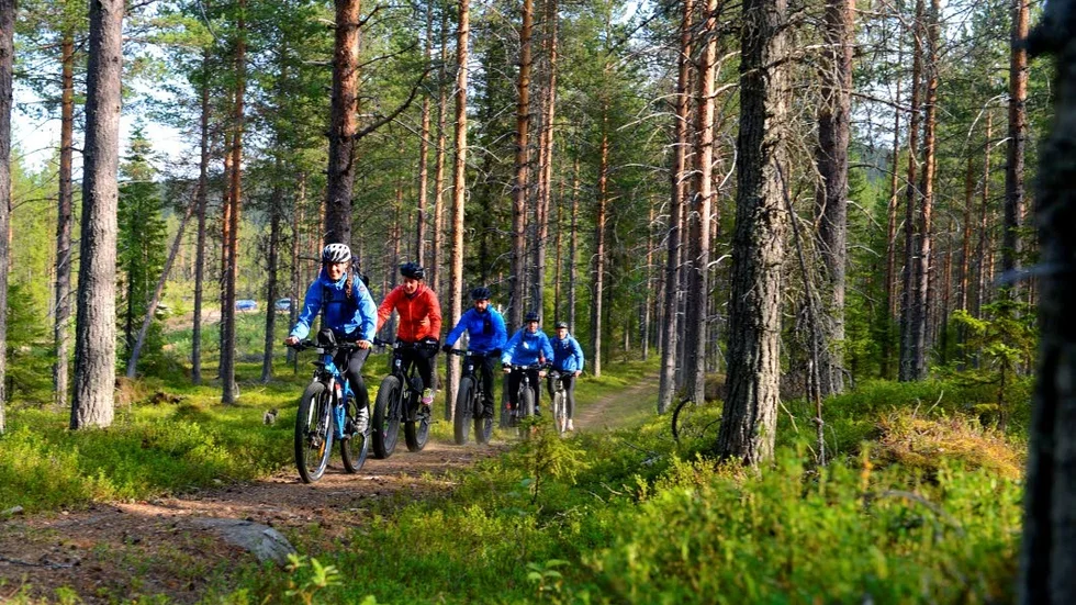 Som ett pärland av jätteblåbär och lingon kommer de farande genom tallskogen, gänget på kvällens upplevelsetur.
