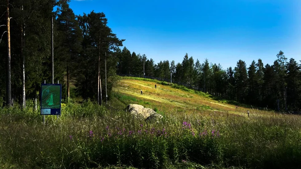 Fyra män knivskars allvarligt vid ett gängbråk på Ormberget i natt. "En hade livshotande skador, hela magen var uppskuren", säger vår källa.