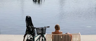 På vandring i konstens spår