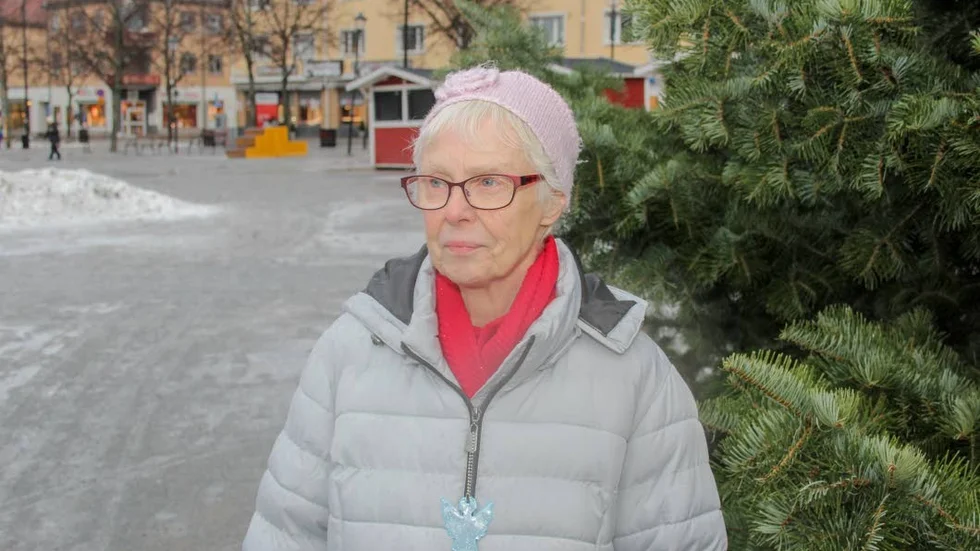 Maj-Lis Lingdahl, Fjärdhundra: Vill att kommunen satsar på skolan, även skolorna ute i kransorterna.