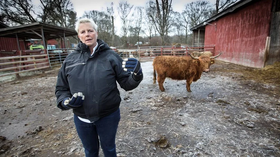 Lantbrukaren Catharina Rudolphson i Örsundsbro har vidtagit åtgärder i form av lås och larm. Nästa steg är kameror.
