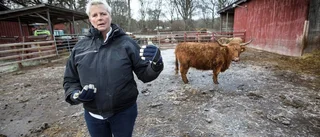 Kunskapen om brott på landsbygden liten