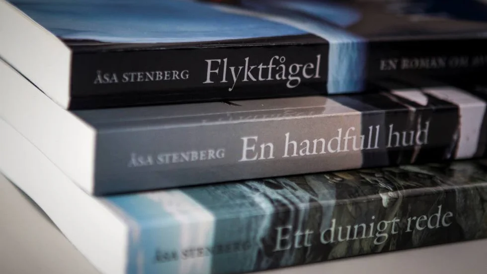 Tre böcker med en gemensam röd tråd av kvinnovåld och ett mystiskt försvinnande.