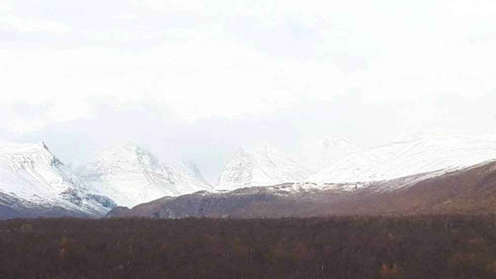 Kebnekaisemassivet under torsdagsmorgonen.