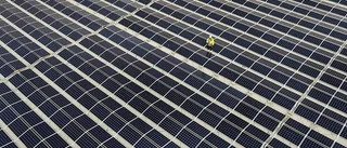 De slår rekord i antal solpaneler