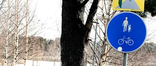 Ris och ros från Luleåborna