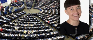 Kirunabo siktar mot EU