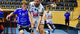 Direktrapport: Sirius-Pixbo