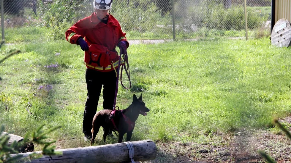 Personal från Myndigheten för samhällsberedskap visade hur deras hundar sökte efter människor i ruiner.