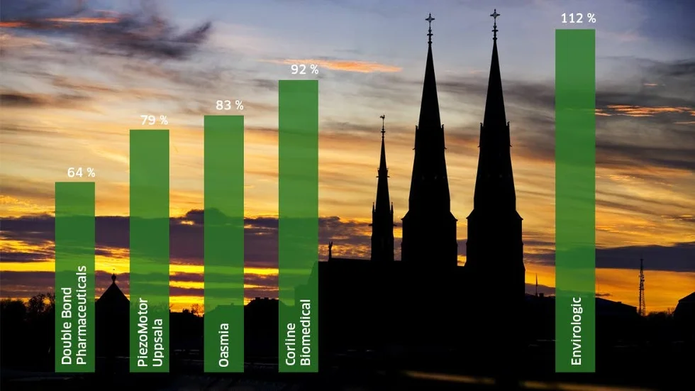 Flera Uppsalaanknutna företag har varit bra placeringar på börsen i år.