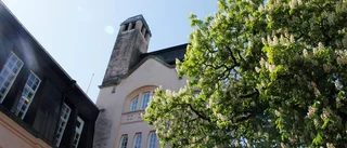 Ser risk för fortsatt stiltje runt Svandammen