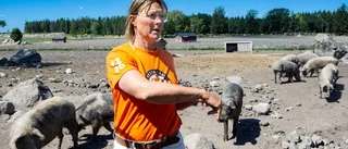 Hon tvingas ge bort sina grisar