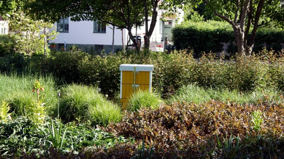 Binas gula hus i parkens grönska.