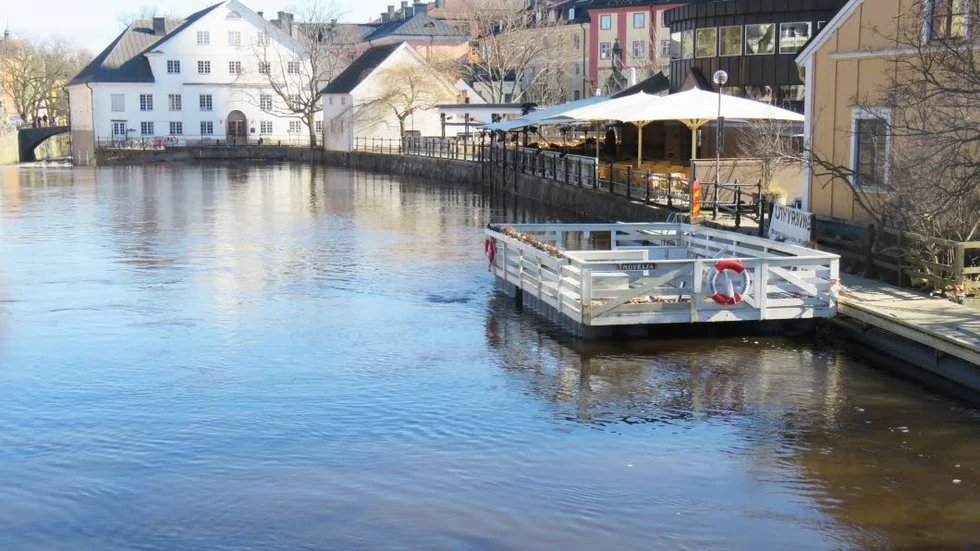 Flotten "Novelia" är döpt efter David Nord Wallins dotter.
