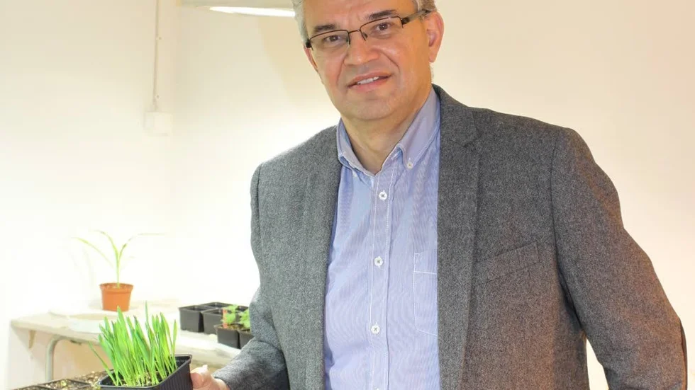 Velemir Nincovic