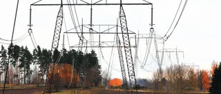 Energiministerns haveri på elmarknaden