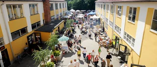 Nedläggning av skolor utvärderas inom kort