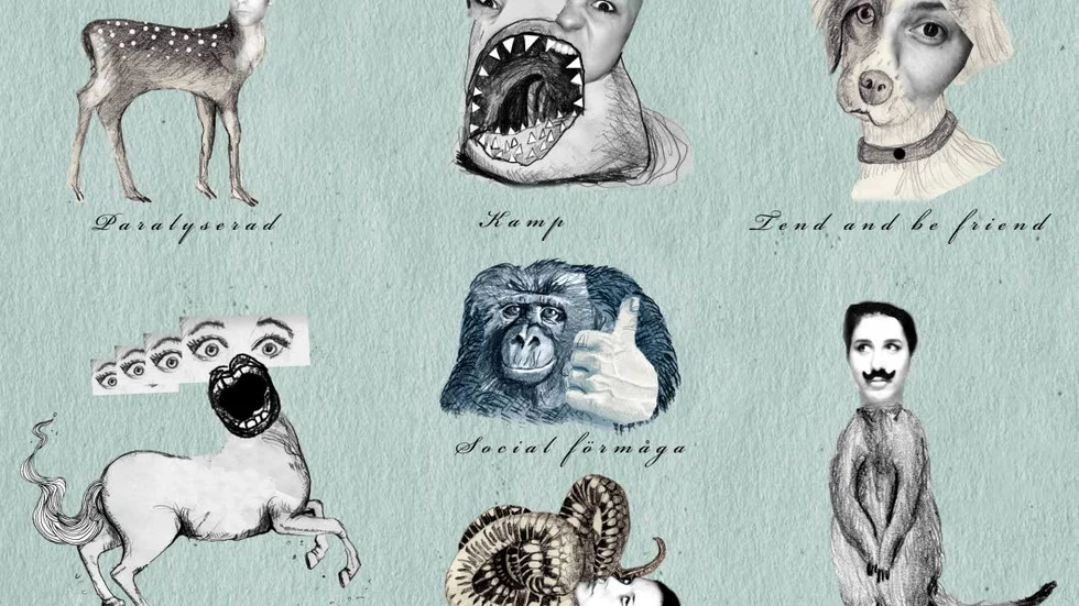 Illustration: Lisa Brandelius.