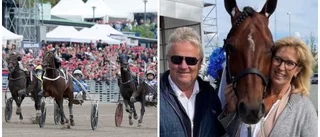 Linköpingsparets stora miljonchans – äger favoriten i Elitloppet