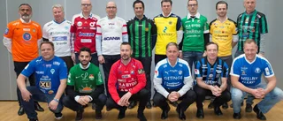 Sirius trivs med allsvenskt tips