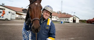 Ingen häst i Elitloppet för Tarzan: "Inte jag som bestämmer"