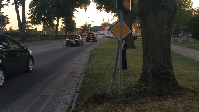 Så här såg vägskylten ut efter mannens berusade framfart sommaren 2021. I gräset och på ett träd fanns också märken efter bilen.