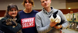 Kaninälskare ställde ut i Tierp
