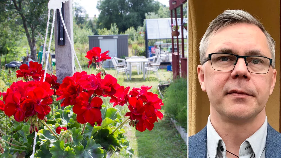 "För att vara tydlig, så att det inte råder några tveksamheter om majoritetspolitikernas inställning i frågan, så delar vi samhällsbyggnadsförvaltningens uppfattning att koloniföreningen måste flytta", skriver Johan Söderberg (S).