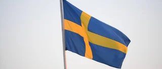 Maria Eriksson: Inte så kaosartat, trots allt