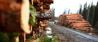 Svea Skog förbrukar våra barnbarns tillgångar