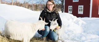 Filmfest för glesbygden