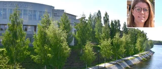 New restaurant to be located centrally by the Skellefteå river