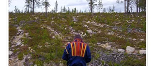 Blind skärskådar skönhet och skövling