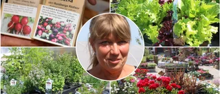 Tips för den senfärdige odlaren
