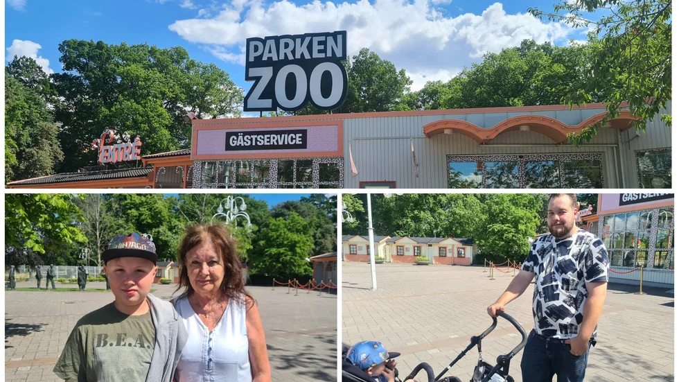 Parkens Zoo:s besökare berättar om hur de påverkades av olyckan på Gröna Lund. 
