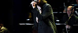 Hozier till Avicii arena i november