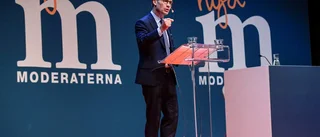 Maria Eriksson: Moderaternas återkomst?
