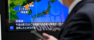 Sydkorea: Spionsatellit "utan militär nytta"